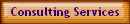 Consulting Services